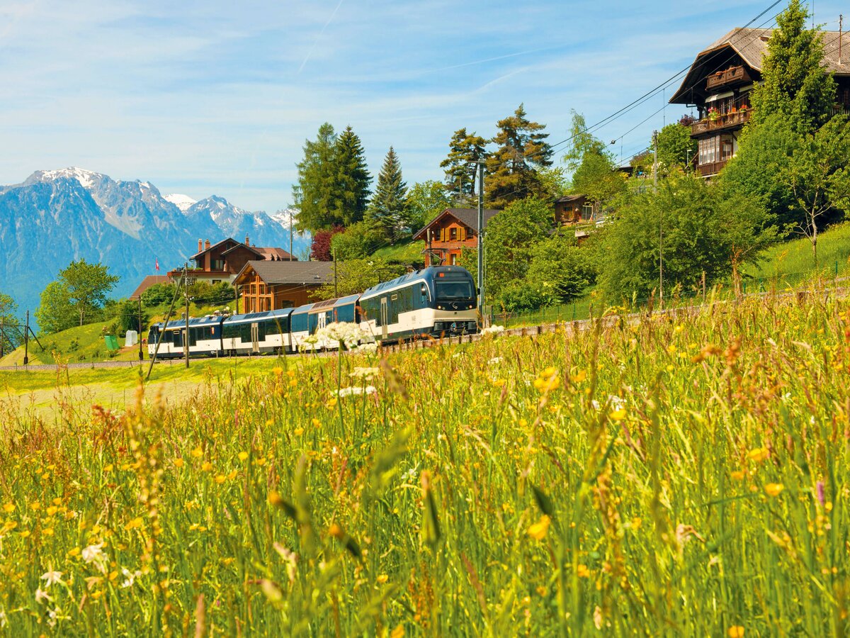 GoldenPass Line Zweisimmen-Montreux | © GoldenPass - MOB