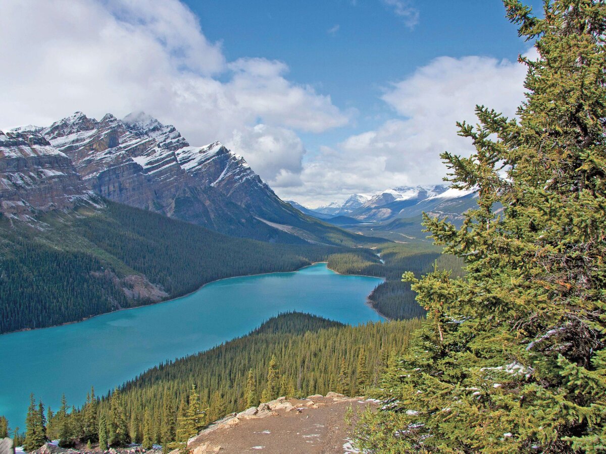 Peyto Lake | © Felix Willeke Peyto Lake | © Felix Willeke